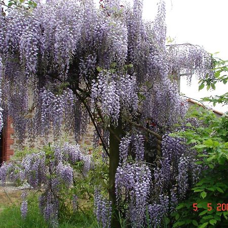 Gite Climatise De La Haute Rue Touvois Екстер'єр фото