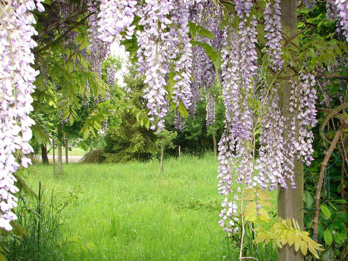Gite Climatise De La Haute Rue Touvois Екстер'єр фото